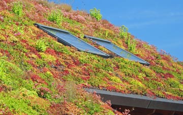 Gussage All Saints living roof systems