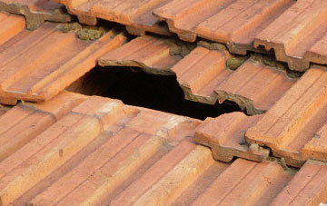 roof repair Gussage All Saints, Dorset
